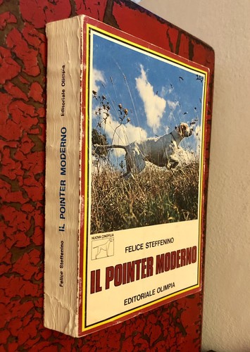Pointer moderno feilce - il,