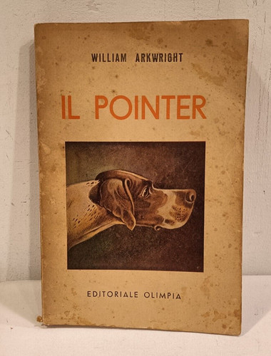 Pointer i suoi - i,