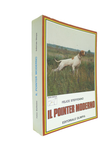 Felice steffenino pointer - felice,