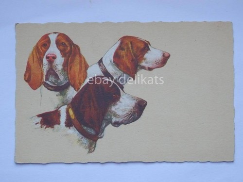 Pointer setter cane - pointer,