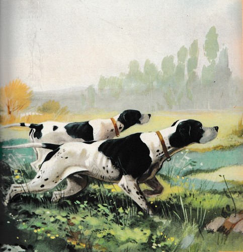 1954 roberto lemmi - roberto, caccia