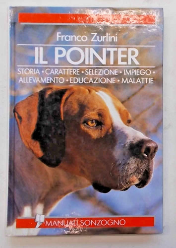 Zurlini pointer storia - zurlini, il