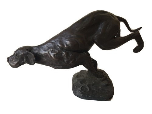 Pointer cane caccia - cane, da