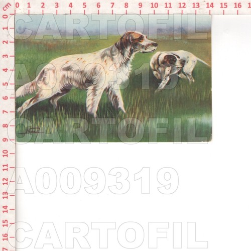 A9319 sport cane - sport,
