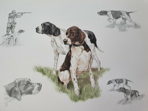 Nigel hemming cane - da, caccia