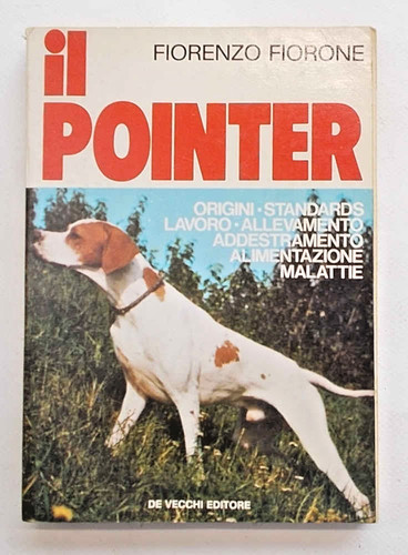 Fiorone pointer 1977 - il, pointer.