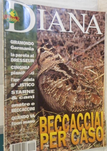 Diana 2001 beccacciai - 24,