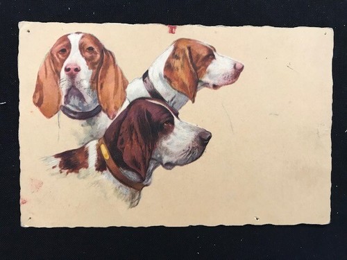 Cartolina cani caccia - da,