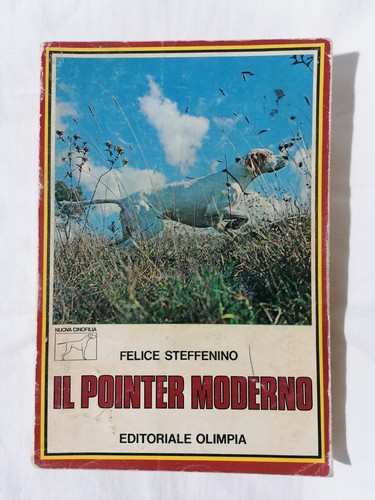 Pointer moderno felice - pointer,