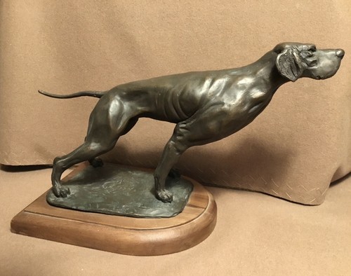 Pointer cane caccia - cane, da