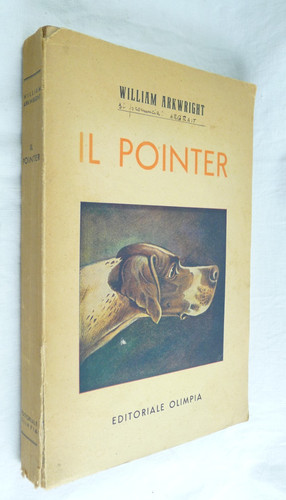 William arkwright pointer - arkwright, il