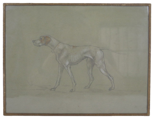 Disegno antico cane caccia - disegno,